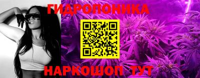 шишки Нарткала