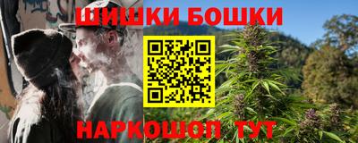 шишки Нарткала