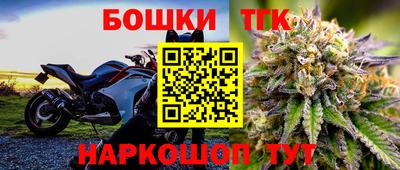 шишки Нарткала