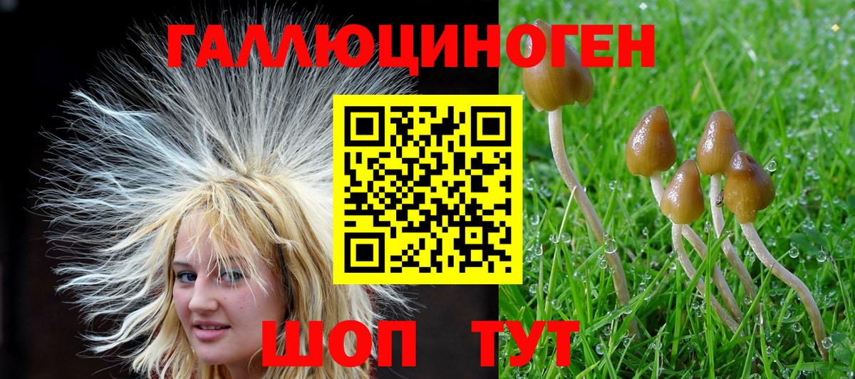 Псилоцибиновые грибы GOLDEN TEACHER  Вход с VPN  Будённовск 