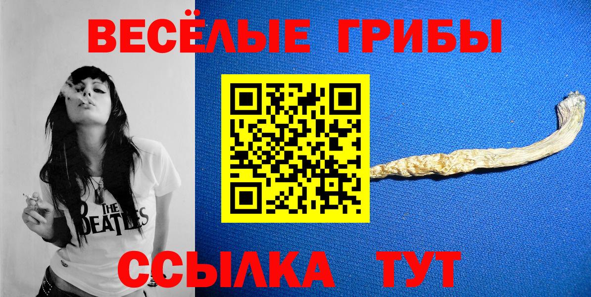 Псилоцибиновые грибы мухоморы Будённовск
